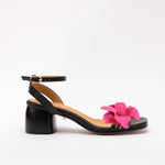 Framboise Black No long