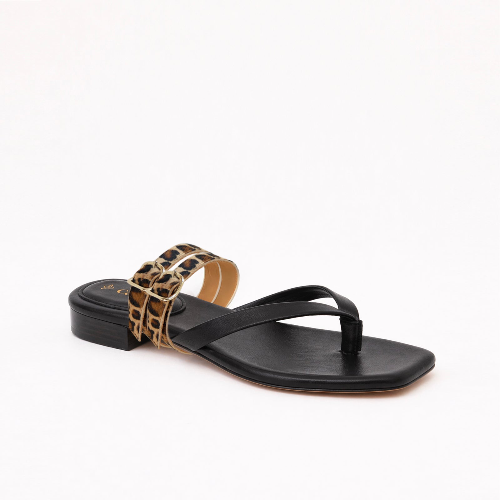 Black Thongs + D.Leopard