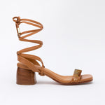 Gladiator Camel Long Sunset Camel